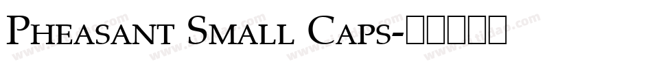 Pheasant Small Caps字体转换